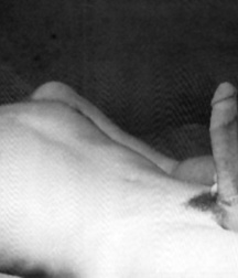 Misc 01 59d9a752cfc01.jpg