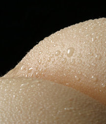 Top Butts 3 59e8d9585f285.jpg