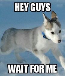 Fun but true 2 59e886e01c7b8.jpg