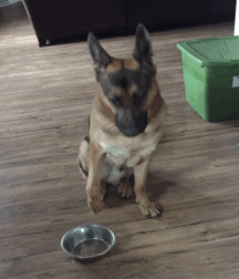 Fun with friends 59e95a5d5c610.gif