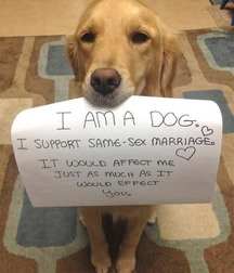 Fun But True 3 59ea6679d8c21.jpg