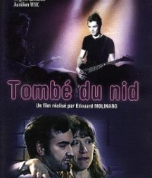 GTM Films We Own 5bdd06492cbef.jpg