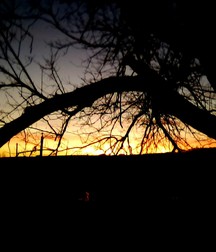 Some of my sunset photos 5a3c8d41476f6.jpg