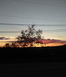 Some of my sunset photos 5a3c8d49c65e5.jpg