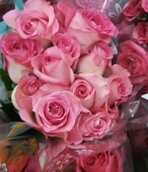 Some of my flowers and plants 5a45d209ecb12.jpg