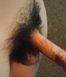 Lorences Cock  59f22821c1c6b.jpg
