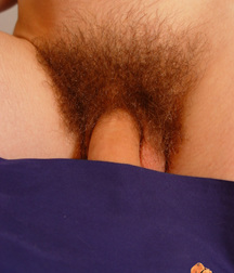 Doggy Boy Hulk Album 1 5dc213804a8ea.jpg