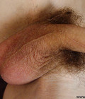 Seba 5a5f54f3b679f.jpg