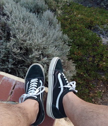 black and white shoes 5cecce0e5550e.jpg