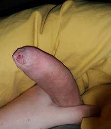 cock 5b1555a9d85e7.jpg