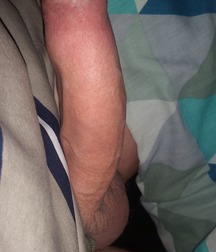Cock 2 5bb8778f199da.jpg