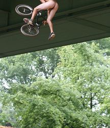 On Wheels 59f7a20ed7a04.jpg