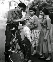 On Wheels 59f7a23c3fe31.jpg