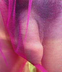 Dany 59f2f757a5e65.jpg