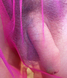 Dany 59f2f764ac321.jpg