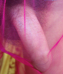 Dany 59f2f7989bb2f.jpg