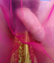 Dany 59f2f7a4dc6ad.jpg