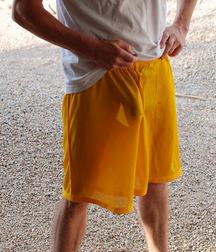 See thru shorts 59f8365babaab.jpg