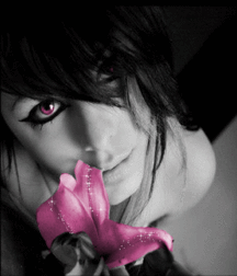KissMe's Mix3 5a7666427af50.gif