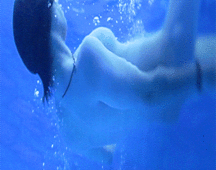 KissMe's Bods5 5a795860a648f.gif