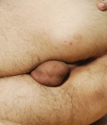 Uploaded by:Torben 5a0c1d2f6c8b0.jpg