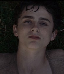 Hot Idols: Timothée Chalamet 5dab92e6543b8.jpg