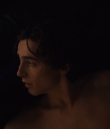 Hot Idols: Timothée Chalamet 5dab931b86215.jpg