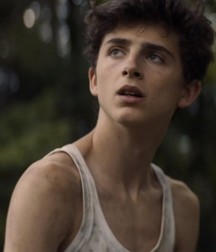 Hot Idols: Timothée Chalamet 5dab931d6103a.jpg