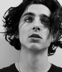 Hot Idols: Timothée Chalamet 5dab93296f2a1.jpg
