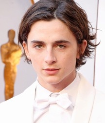 Hot Idols: Timothée Chalamet 5dab9361857fa.jpg