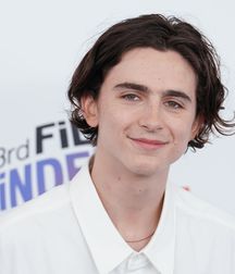 Hot Idols: Timothée Chalamet 5dab9379b659c.jpg