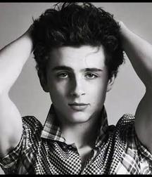Hot Idols: Timothée Chalamet 5dab93be9f2fa.jpeg