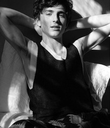 Hot Idols: Timothée Chalamet 5dab940137a28.jpg