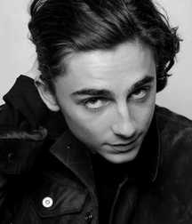 Hot Idols: Timothée Chalamet 5dab940b237b5.jpg