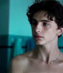 Hot Idols: Timothée Chalamet 5dab9439d5c47.jpeg
