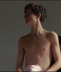 Hot Idols: Timothée Chalamet 5dab944b501c0.jpg