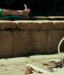 Hot Idols: Timothée Chalamet 5dab94501b5a3.jpg