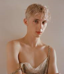 Hot Idols: Troye Sivan 5dbdd2d00bede.png