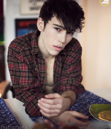 Hot Idols: Max Schneider