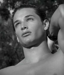 Hot Idols: Andrew M. Gray 5e07d9cfcbbdd.jpg