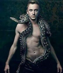 Hot Idols: Tom Felton 5e7f89c360906.jpg