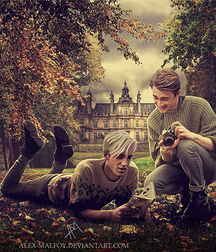 Hot Idols: Tom Felton 5e7f8adfae138.jpg