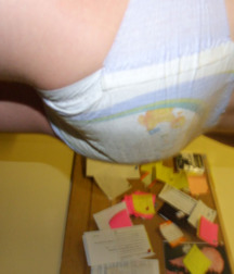lots of diapers 5a86cd626f87b.jpg