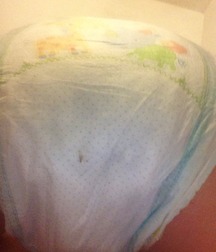 lots of diapers 5a86d0899cf8d.jpg