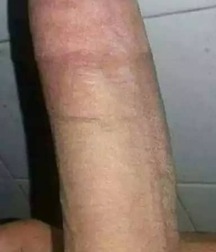 Sexy Arabian Cocks - all shapes and sizes boys porn 629a9c8c009fc.jpg