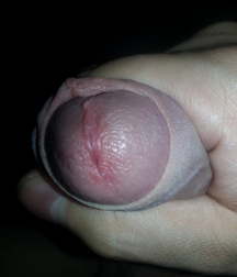 My german dick 5a8a64d62a382.jpg