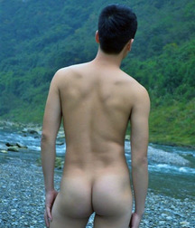 all ass 5a41198e64f6b.jpg