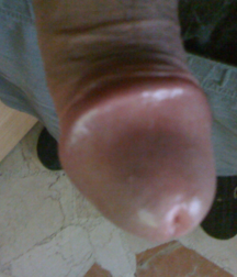 shower 5a5b7407286a9.png