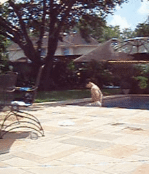 Twink gifs 5a9c51669e5e2.gif