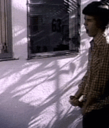 Candy21 5bd49dd903d28.gif